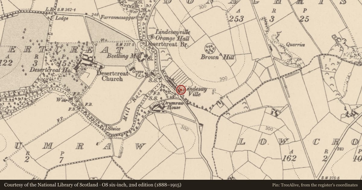 Ordnance Survey six-inch map, 2nd edition (1888–1915) covering the location of 62 Lindesayville Road, Donaghrisk, Mid Ulster, with a pin at the register's coordinates