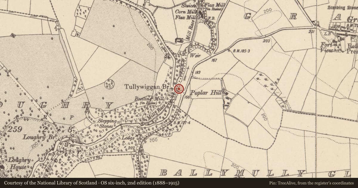 Ordnance Survey six-inch map, 2nd edition (1888–1915) covering the location of Tullywiggan Bridge, Loughry/Ballymully, Mid Ulster, with a pin at the register's coordinates