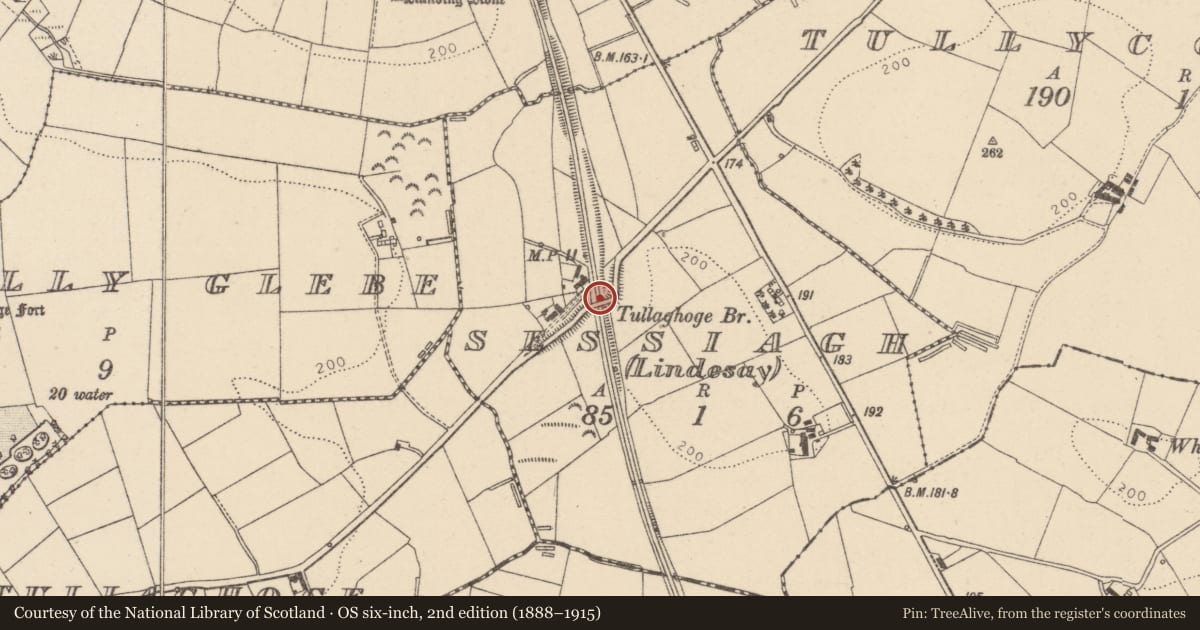 Ordnance Survey six-inch map, 2nd edition (1888–1915) covering the location of Tullaghoge Bridge, Sessiagh Road, Sessia, Co Tyrone, Sessia (Lindesay), Mid Ulster, with a pin at the register's coordinates