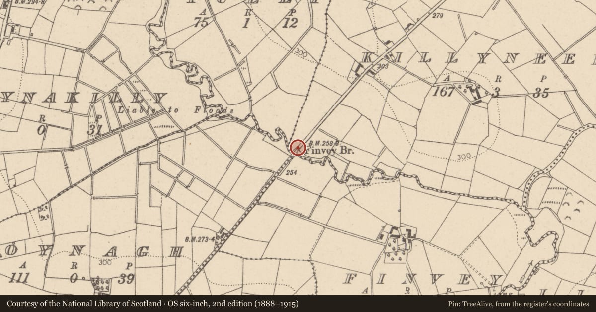 Ordnance Survey six-inch map, 2nd edition (1888–1915) covering the location of Finvey Bridge, Killyneedan, Mid Ulster, with a pin at the register's coordinates