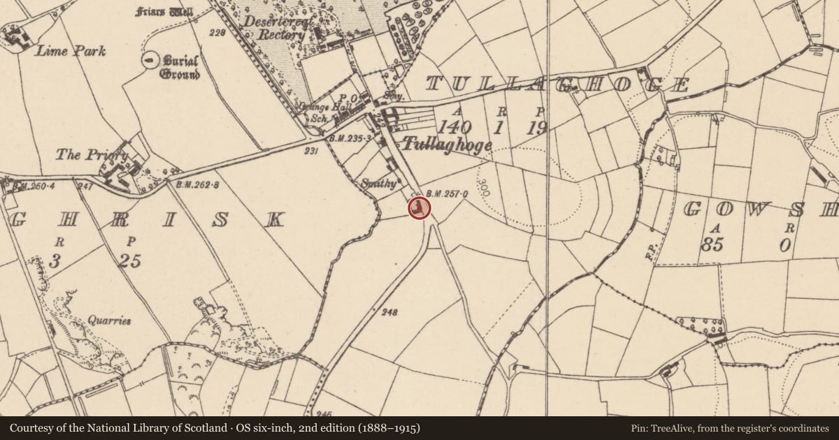 Ordnance Survey six-inch map, 2nd edition (1888–1915) covering the location of Farm Buildings, Tullaghoge, Mid Ulster, with a pin at the register's coordinates