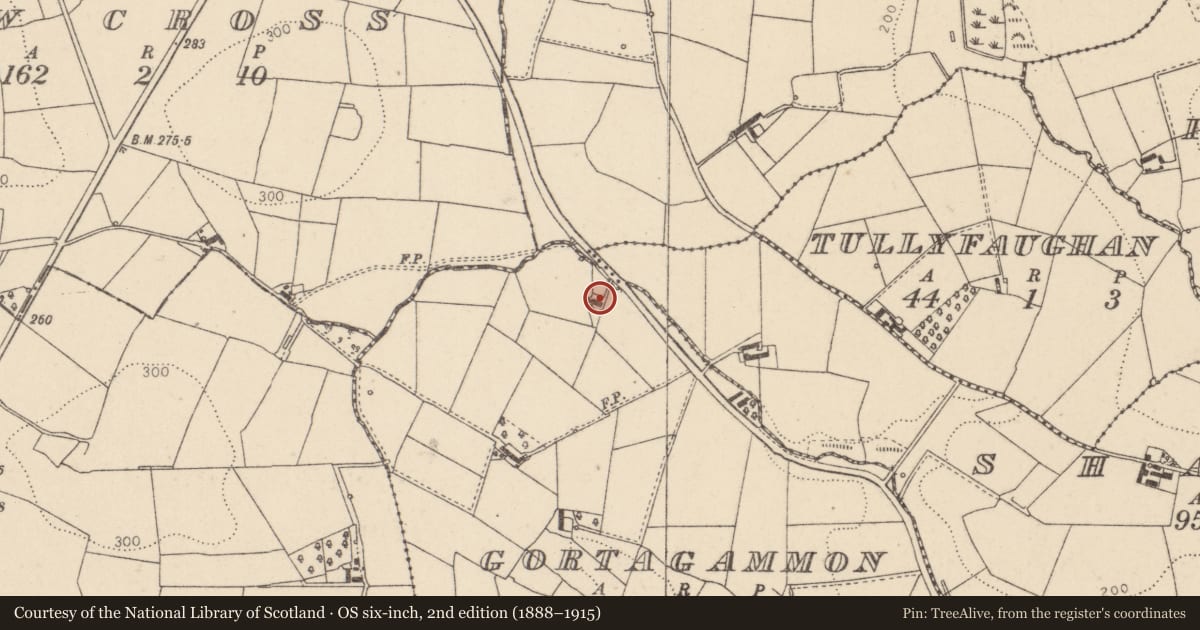 Ordnance Survey six-inch map, 2nd edition (1888–1915) covering the location of 51 Gortagammon Road, Gortgammon, Mid Ulster, with a pin at the register's coordinates