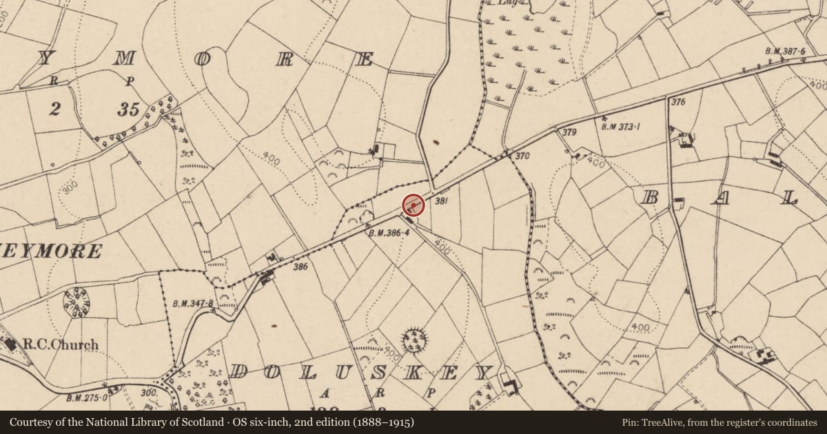 Ordnance Survey six-inch map, 2nd edition (1888–1915) covering the location of 21 Loup Road, Moneymore, Magherafelt, BT45 7SN, Doluskey, Mid Ulster, with a pin at the register's coordinates
