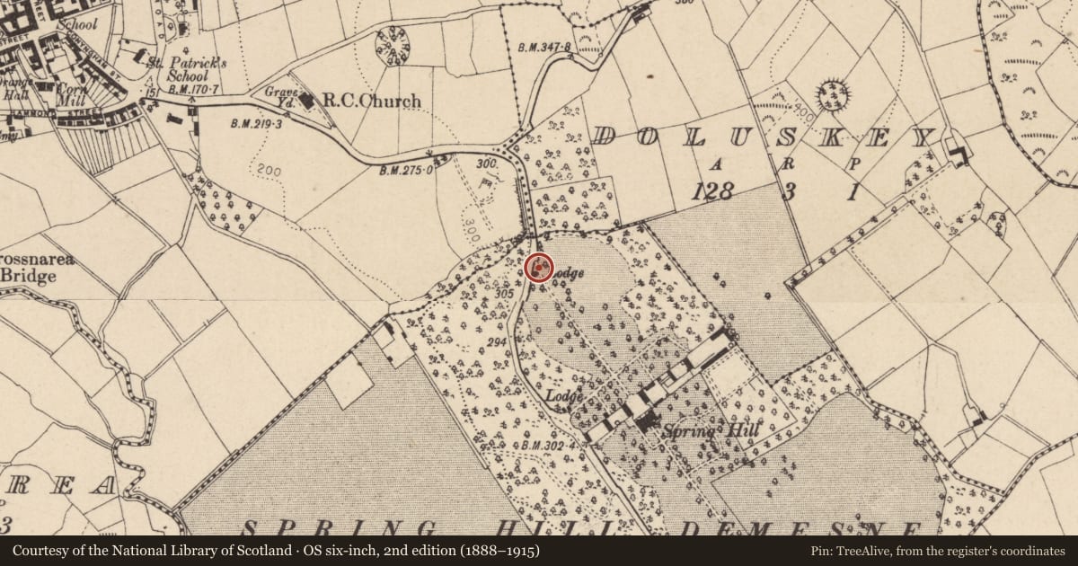 Ordnance Survey six-inch map, 2nd edition (1888–1915) covering the location of Lodge, Ballindrum, Mid Ulster, with a pin at the register's coordinates