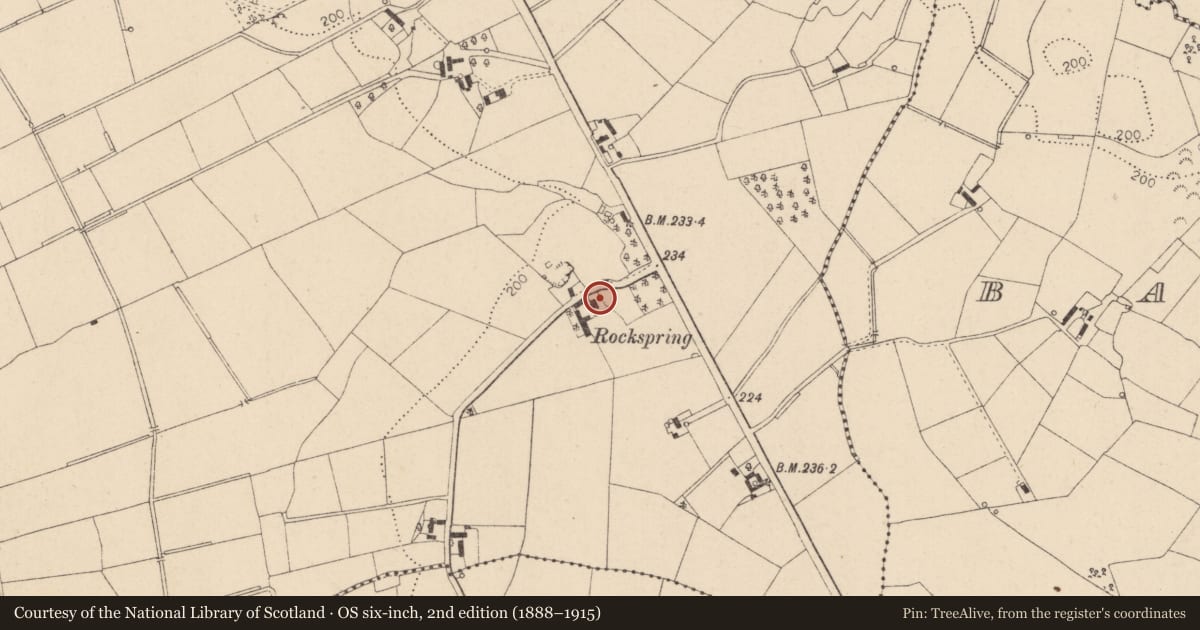 Ordnance Survey six-inch map, 2nd edition (1888–1915) covering the location of Rockspring, 4 Ballydawley Road, Moneymore, Magherafelt, Ballindrum, Mid Ulster, with a pin at the register's coordinates