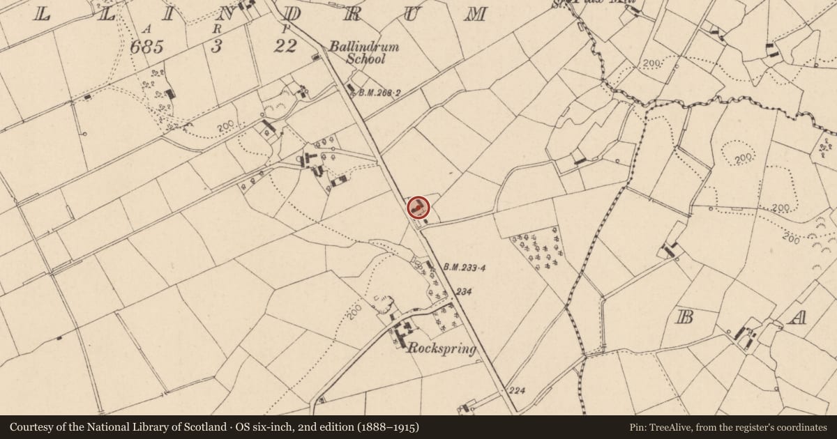 Ordnance Survey six-inch map, 2nd edition (1888–1915) covering the location of 70 Springhill Road, Moneymore, Magherafelt, BT45 7NH, Ballindrum, Mid Ulster, with a pin at the register's coordinates