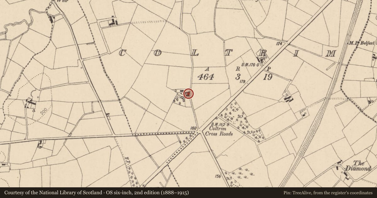 Ordnance Survey six-inch map, 2nd edition (1888–1915) covering the location of Woodview Cottage, 51 Cookstown Road, Moneymore, Magherafelt, Coltrim, Mid Ulster, with a pin at the register's coordinates