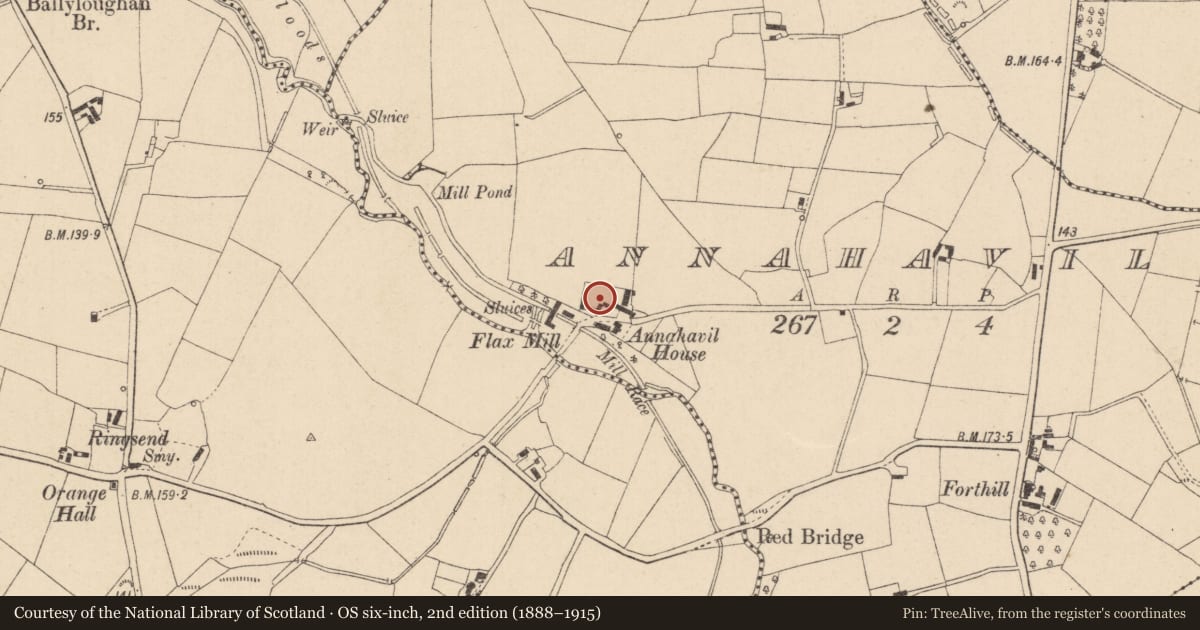 Ordnance Survey six-inch map, 2nd edition (1888–1915) covering the location of Outbuildings at Annahavil House, Tullyboy Road, Moneymore, Magherafelt, Mid Ulster, with a pin at the register's coordinates