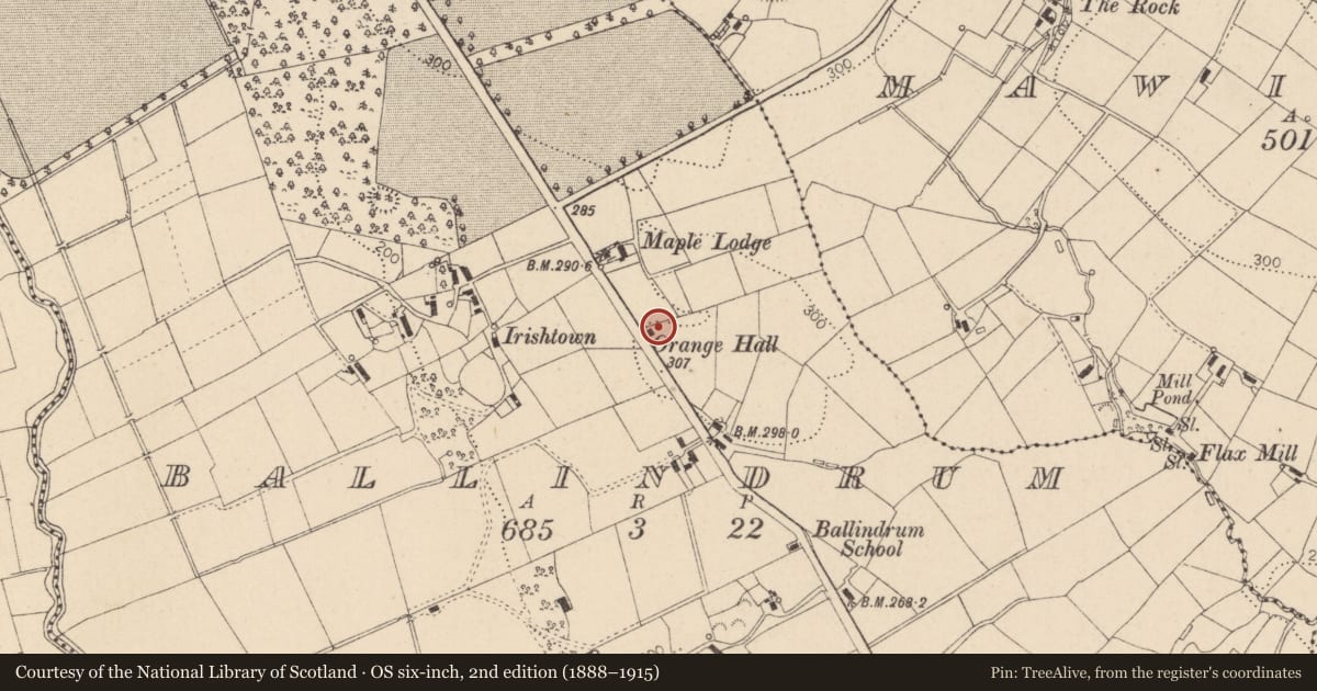Ordnance Survey six-inch map, 2nd edition (1888–1915) covering the location of Ballindrum Orange Hall, 50 Springhill Road, Moneymore, Magherafelt, Mid Ulster, with a pin at the register's coordinates
