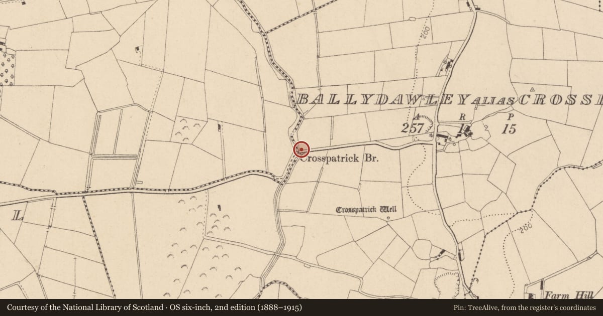Ordnance Survey six-inch map, 2nd edition (1888–1915) covering the location of Crosspatrick Bridge, Crosspatrick Road, Moneymore, Magherafelt, Moneyhaw, Mid Ulster, with a pin at the register's coordinates