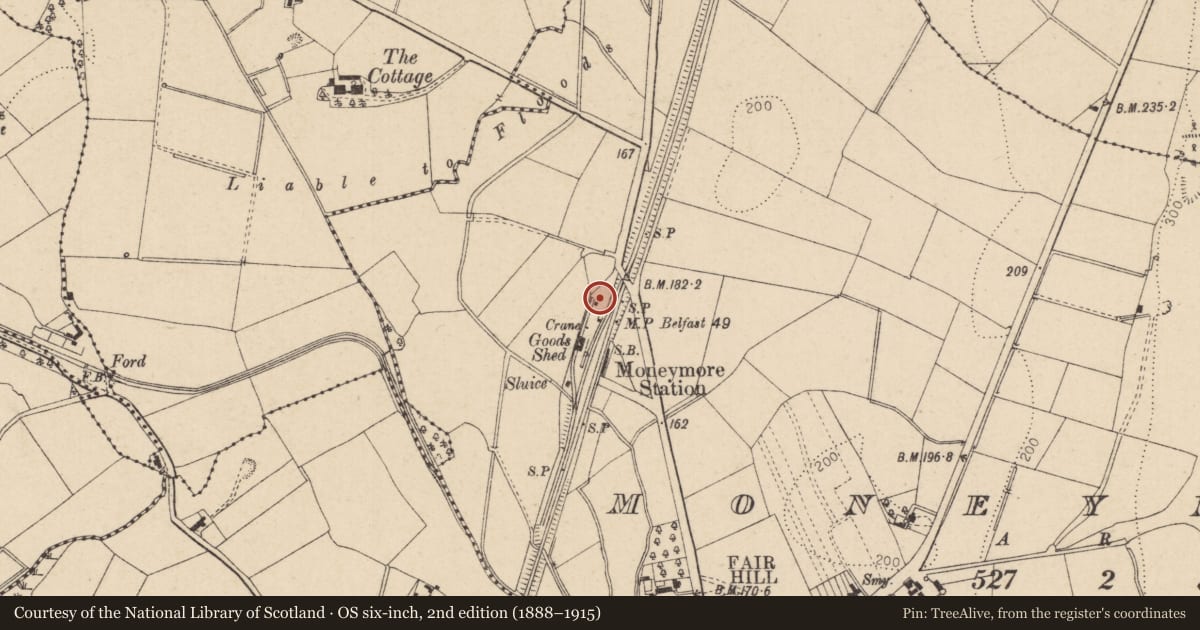 Ordnance Survey six-inch map, 2nd edition (1888–1915) covering the location of Former Weighbridge, Former Railway Station, 24 Station Road, Moneymore, Mid Ulster, with a pin at the register's coordinates