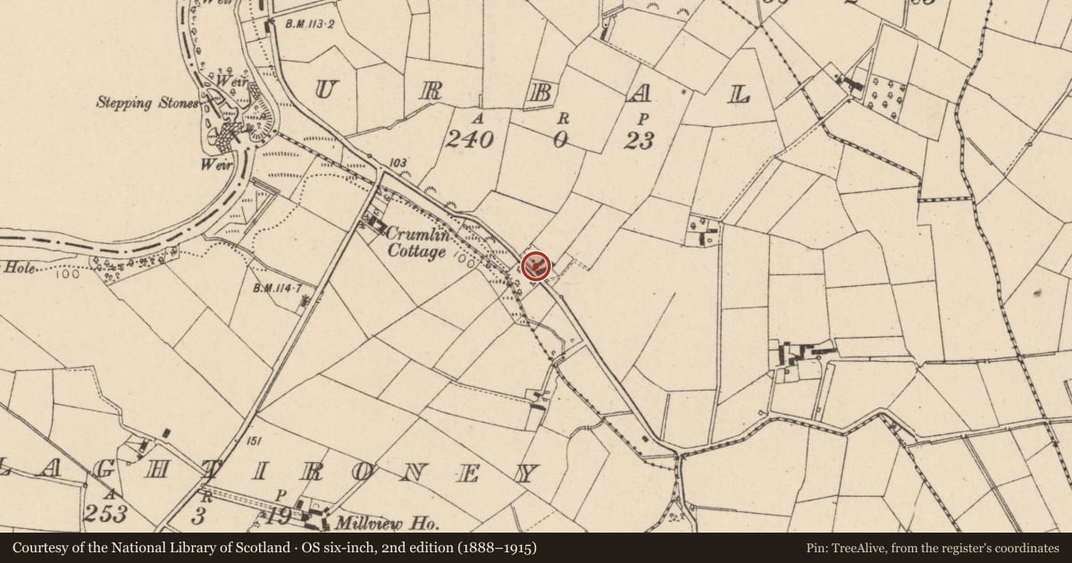 Ordnance Survey six-inch map, 2nd edition (1888–1915) covering the location of 4 Urbal Lane, Coagh, Cookstown, BT80 0ED, Mid Ulster, with a pin at the register's coordinates