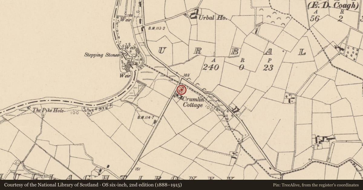 Ordnance Survey six-inch map, 2nd edition (1888–1915) covering the location of 4 Ballynargan Road, Mid Ulster, with a pin at the register's coordinates