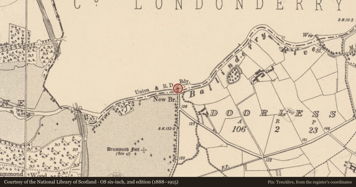 Ordnance Survey six-inch map, 2nd edition (1888–1915) covering the location of New Bridge, Cloghog/Doorless, Mid Ulster, with a pin at the register's coordinates