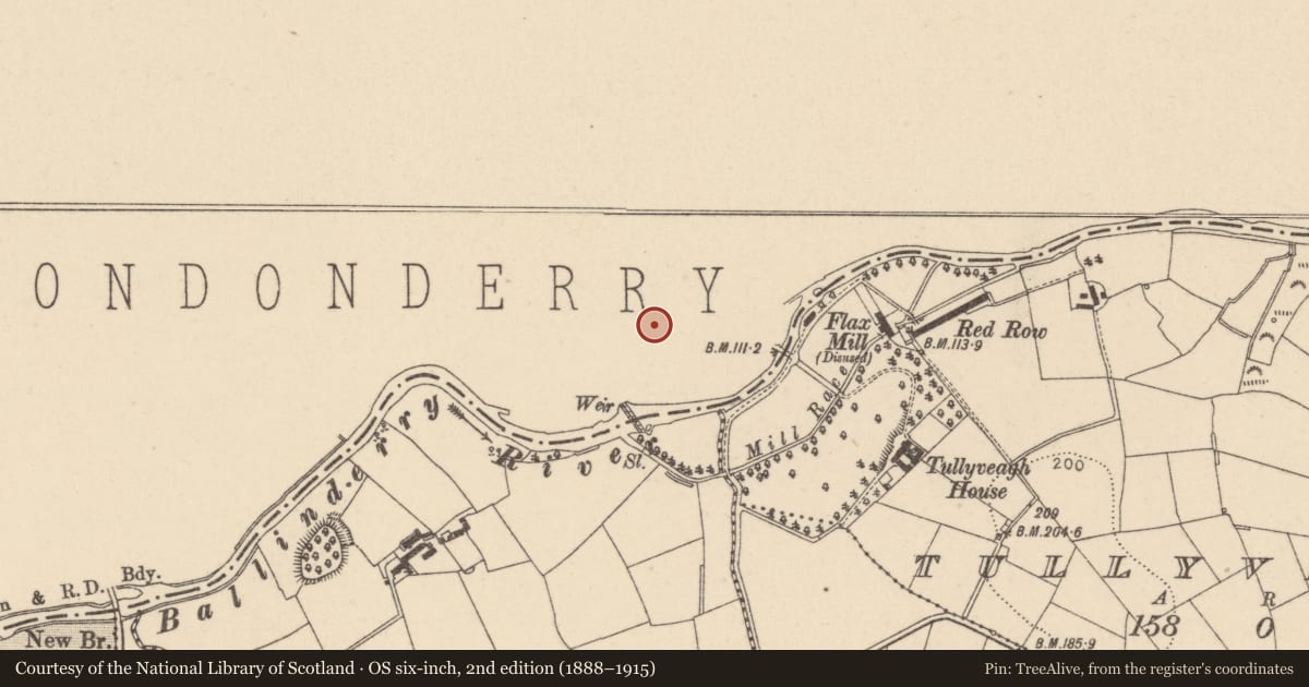 Ordnance Survey six-inch map, 2nd edition (1888–1915) covering the location of Drapersfield House, Cloghog, Mid Ulster, with a pin at the register's coordinates