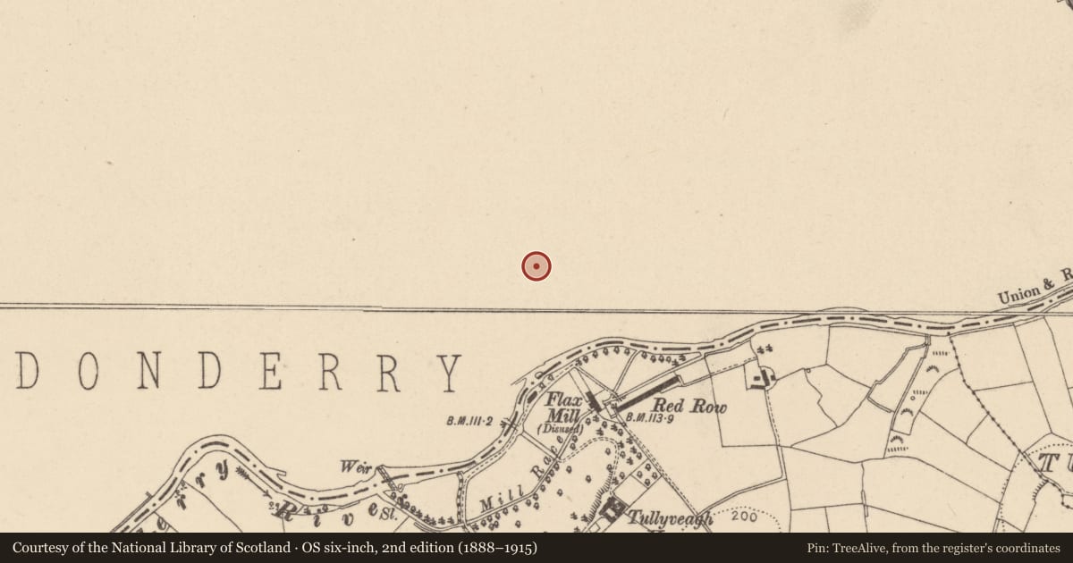 Ordnance Survey six-inch map, 2nd edition (1888–1915) covering the location of 1-10 Sandy Row, Drapersfield Road, Cookstown, BT80 8RT, Mid Ulster, with a pin at the register's coordinates