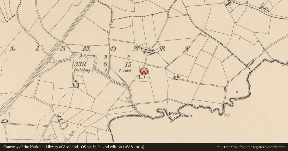 Ordnance Survey six-inch map, 2nd edition (1888–1915) covering the location of 20 Lismoney Road, Mid Ulster, with a pin at the register's coordinates