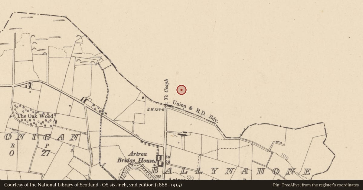 Ordnance Survey six-inch map, 2nd edition (1888–1915) covering the location of Bullet Green Cottage, 11 Littlebridge Road, Moneymore, BT45 7XY, Mid Ulster, with a pin at the register's coordinates