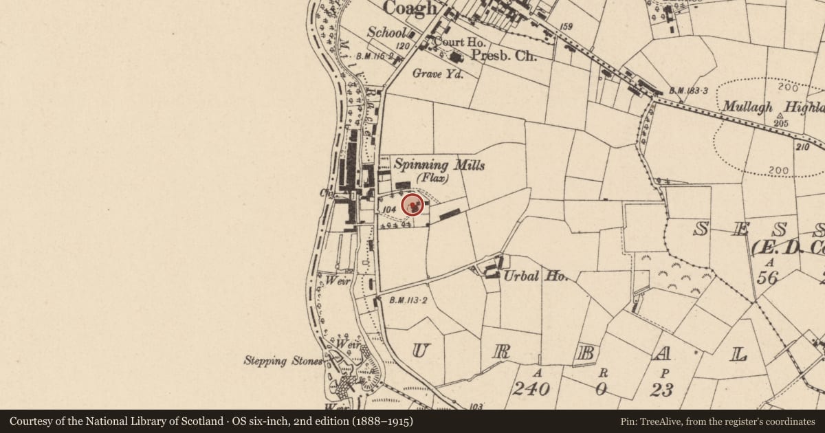 Ordnance Survey six-inch map, 2nd edition (1888–1915) covering the location of Ultimo House, Urbal, Mid Ulster, with a pin at the register's coordinates