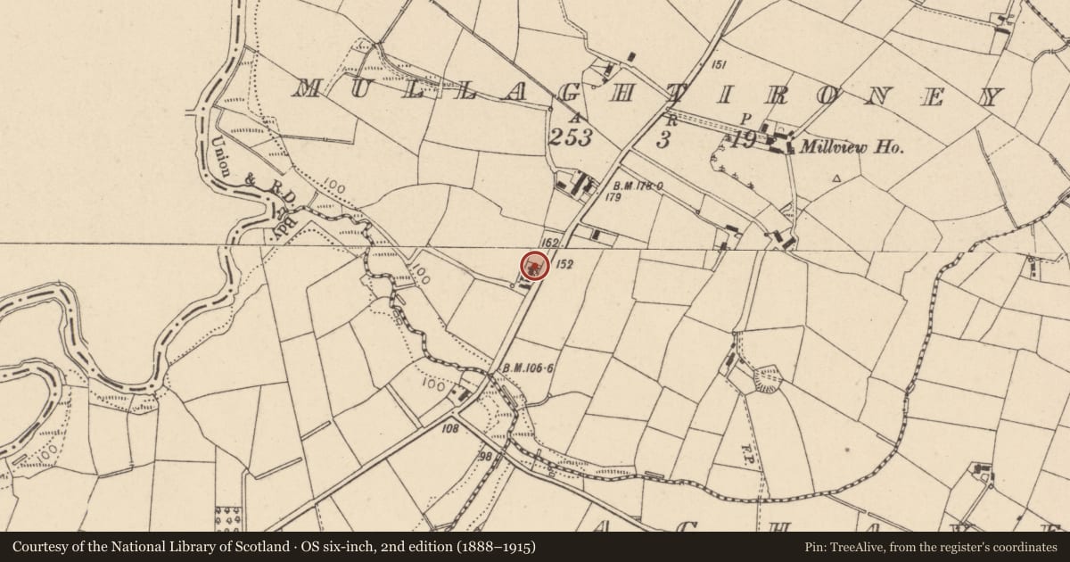Ordnance Survey six-inch map, 2nd edition (1888–1915) covering the location of 19 Ballynargan Road, Mullaghtironey, Mid Ulster, with a pin at the register's coordinates
