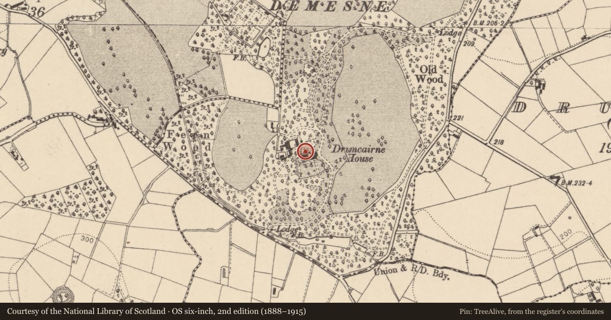 Ordnance Survey six-inch map, 2nd edition (1888–1915) covering the location of Drumcairne House, Mid Ulster, with a pin at the register's coordinates
