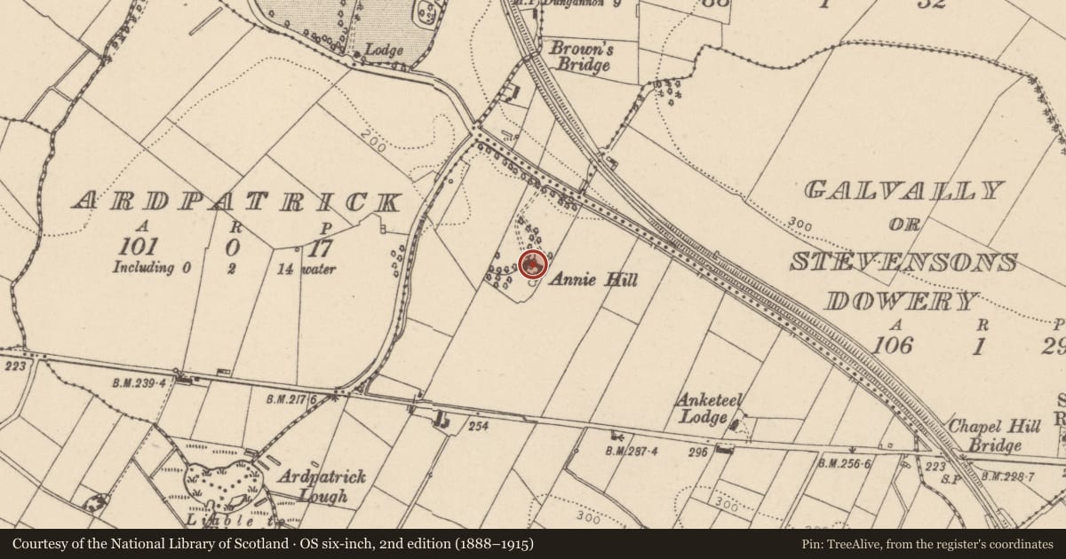 Ordnance Survey six-inch map, 2nd edition (1888–1915) covering the location of Annie Hill, Drumagullion, Mid Ulster, with a pin at the register's coordinates