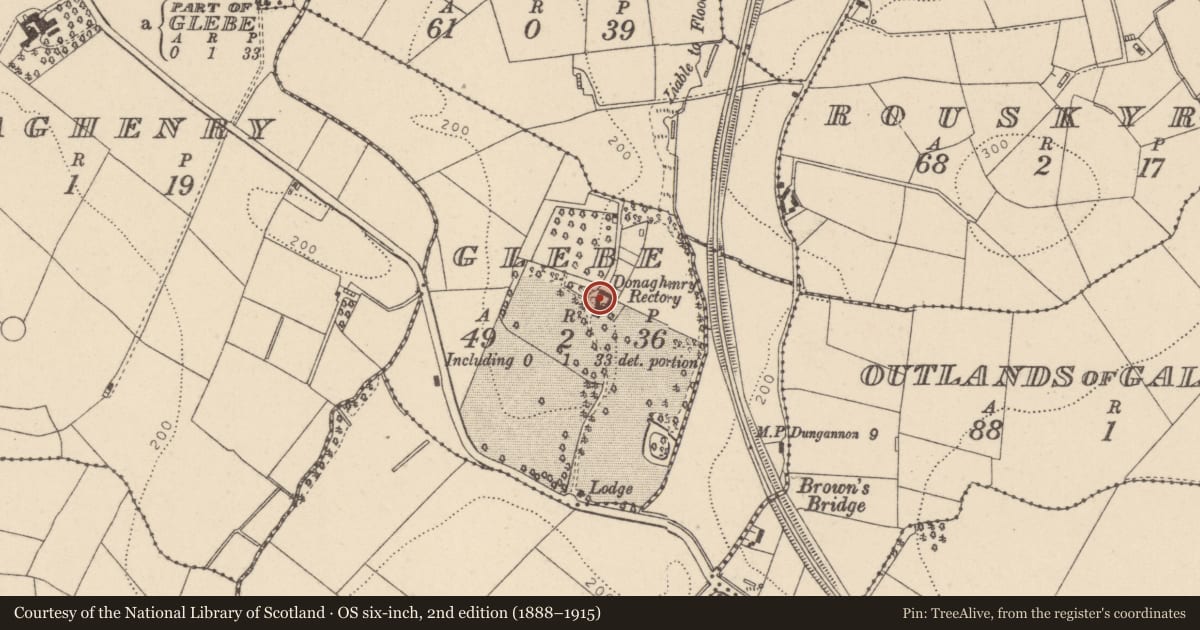 Ordnance Survey six-inch map, 2nd edition (1888–1915) covering the location of Donaghenry Rectory, Glebe (Donaghenry), Mid Ulster, with a pin at the register's coordinates