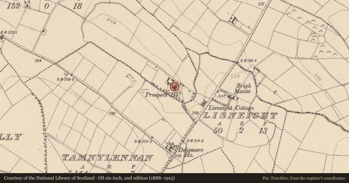 Ordnance Survey six-inch map, 2nd edition (1888–1915) covering the location of Prospect House, Killymurphy, Mid Ulster, with a pin at the register's coordinates
