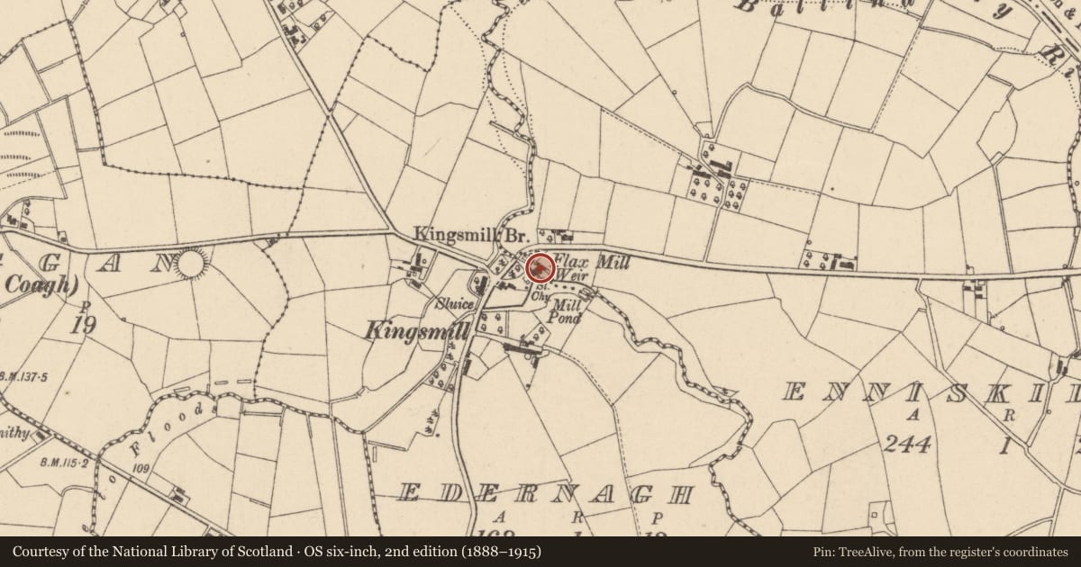 Ordnance Survey six-inch map, 2nd edition (1888–1915) covering the location of Scutching Mill, Nr Kingsmill Bridge, Dungannon, BT71 5NF, Edernagh, Mid Ulster, with a pin at the register's coordinates