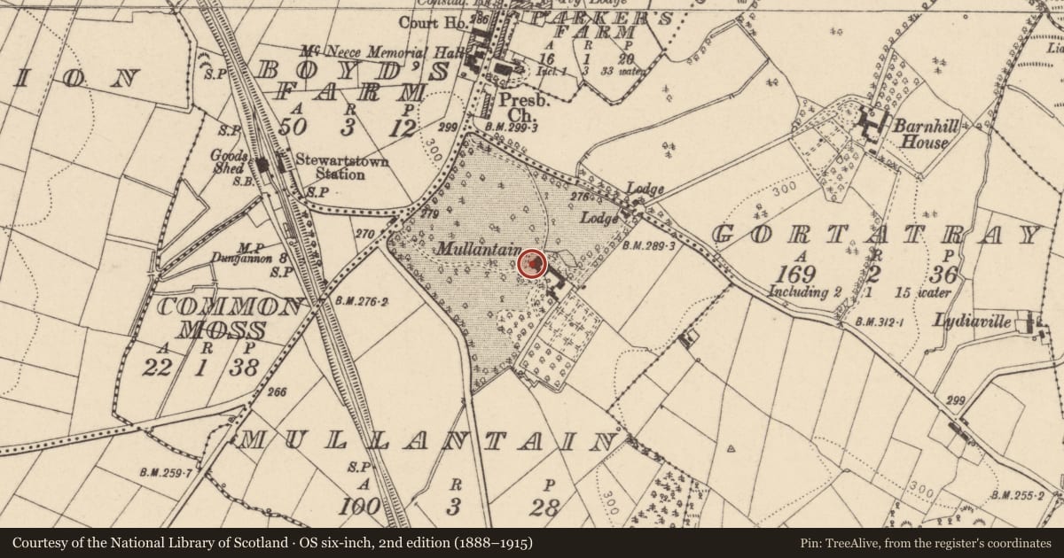 Ordnance Survey six-inch map, 2nd edition (1888–1915) covering the location of Mullantain, 99 Mullaghmoyle Road, BT71 5JA, Mid Ulster, with a pin at the register's coordinates