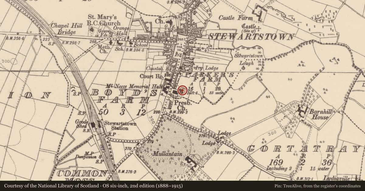 Ordnance Survey six-inch map, 2nd edition (1888–1915) covering the location of Lakeview House, 34 Hillhead, Stewartstown, Dungannon, BT71 5HY, Parker's Farm, Mid Ulster, with a pin at the register's coordinates