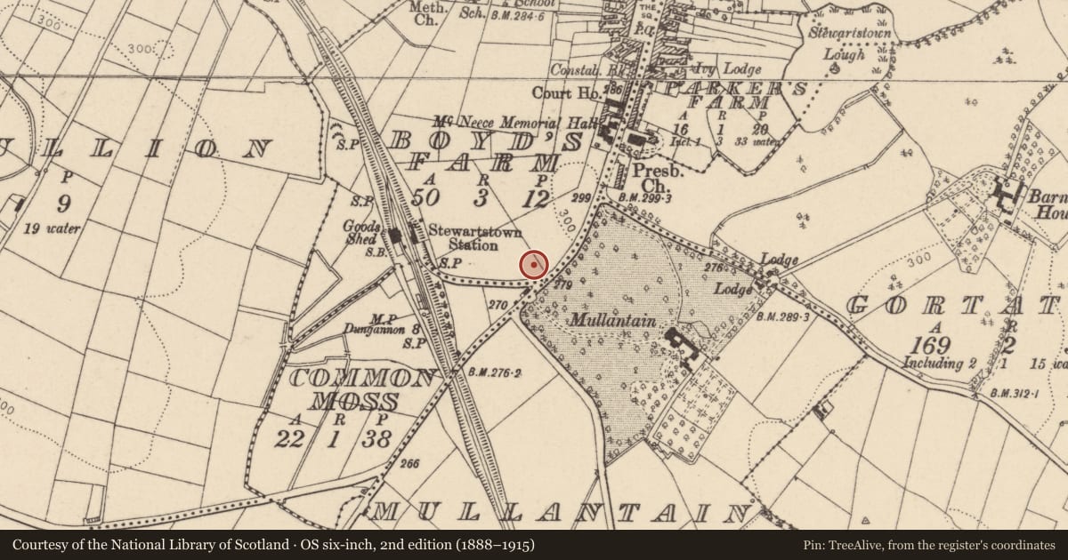 Ordnance Survey six-inch map, 2nd edition (1888–1915) covering the location of Orange Hall, 39 Hillhead, Stewartstown, Dungannon, BT71 5HT, Boyd's Farm, Mid Ulster, with a pin at the register's coordinates