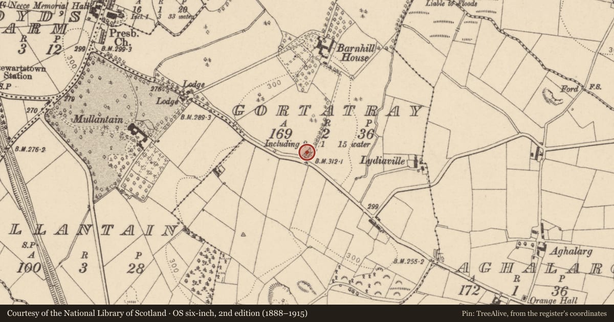 Ordnance Survey six-inch map, 2nd edition (1888–1915) covering the location of AOH Hall, Lisaclare Road, Stewartstown, Dungannon, BT71 5AA, Gortatray, Mid Ulster, with a pin at the register's coordinates