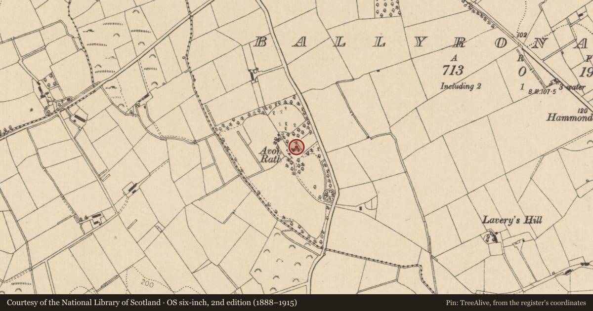 Ordnance Survey six-inch map, 2nd edition (1888–1915) covering the location of Avon Rath, Ballyronan More, Mid Ulster, with a pin at the register's coordinates