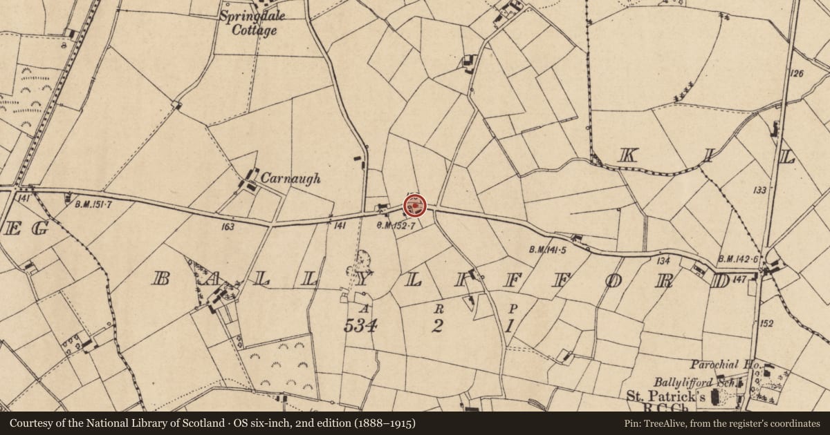 Ordnance Survey six-inch map, 2nd edition (1888–1915) covering the location of 73 Ballygillen Road, Cookstown, Co Tyrone, BT80 0AS, Mid Ulster, with a pin at the register's coordinates