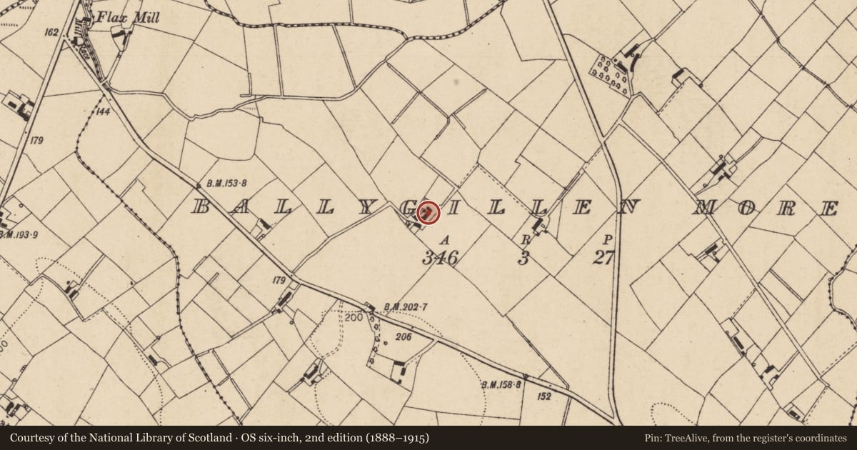 Ordnance Survey six-inch map, 2nd edition (1888–1915) covering the location of 20 Ballygillen Road, Ballygillen More, Mid Ulster, with a pin at the register's coordinates