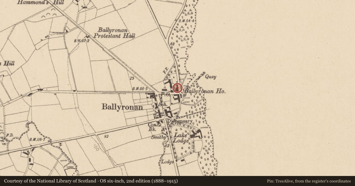 Ordnance Survey six-inch map, 2nd edition (1888–1915) covering the location of Ballyronan House, Ballyronan More, Mid Ulster, with a pin at the register's coordinates
