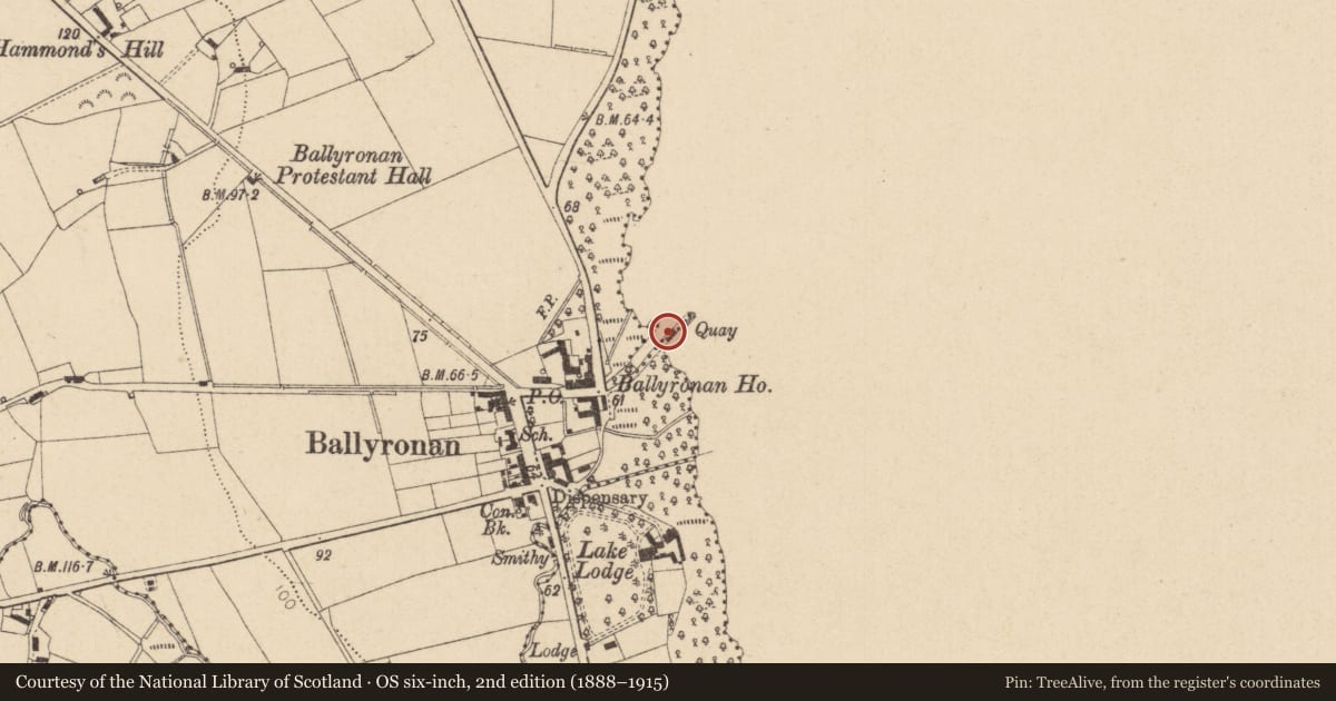 Ordnance Survey six-inch map, 2nd edition (1888–1915) covering the location of Pier, Ballyronan More, Mid Ulster, with a pin at the register's coordinates