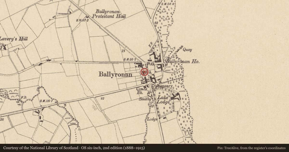 Ordnance Survey six-inch map, 2nd edition (1888–1915) covering the location of Ballyronan School, 128 Shore Road, Ballyronan, Cookstown, BT80 0AZ, Ballyronan More, Mid Ulster, with a pin at the register's coordinates
