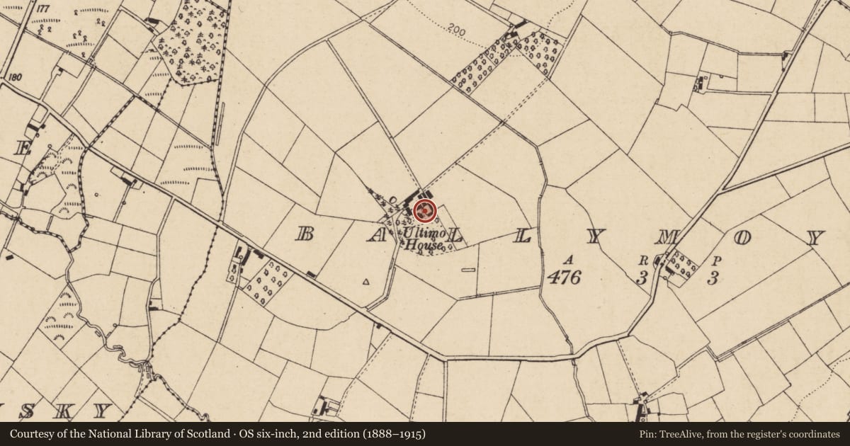 Ordnance Survey six-inch map, 2nd edition (1888–1915) covering the location of Ultimo House, 16 Ballymoyle Road, Cookstown, Co Londonderry, BT80 0AD, Mid Ulster, with a pin at the register's coordinates