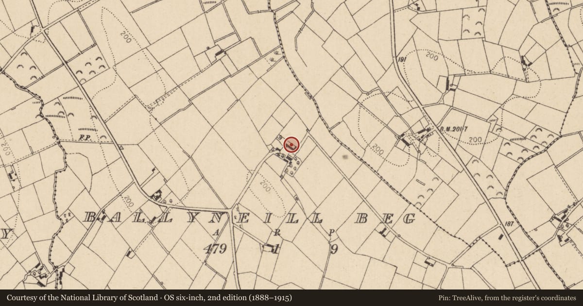 Ordnance Survey six-inch map, 2nd edition (1888–1915) covering the location of House, Ballyneil Beg, Mid Ulster, with a pin at the register's coordinates