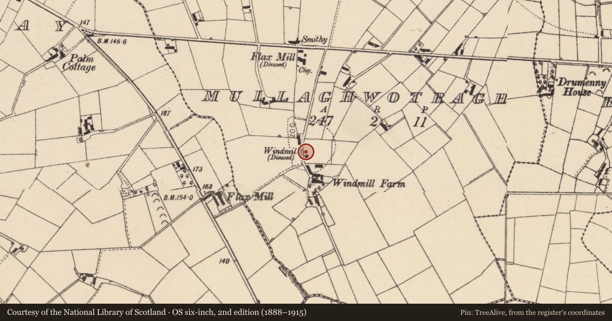 Ordnance Survey six-inch map, 2nd edition (1888–1915) covering the location of Windmill Stump, at Windmill Farm, 25 Battery Road, Cookstown, Co Tyrone, Mullaghwotragh, Mid Ulster, with a pin at the register's coordinates
