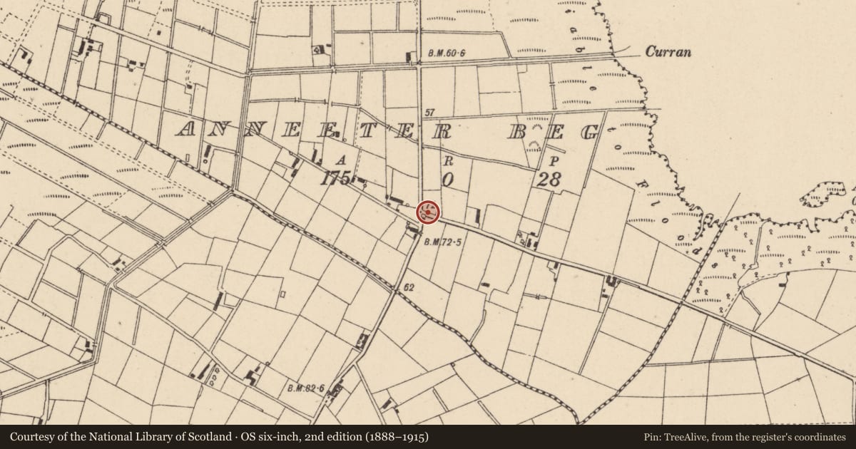 Ordnance Survey six-inch map, 2nd edition (1888–1915) covering the location of Coyle's Cottage, Anneeter Beg, Mid Ulster, with a pin at the register's coordinates