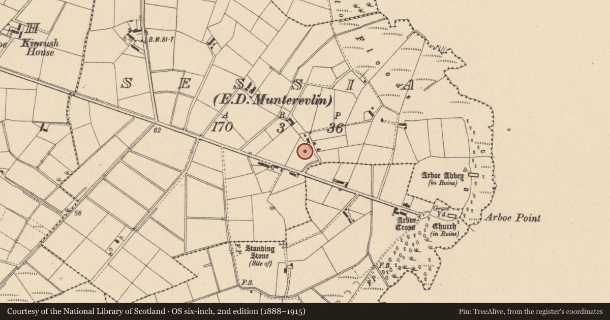 Ordnance Survey six-inch map, 2nd edition (1888–1915) covering the location of 128 Ardboe Road, Cookstown, BT80 0HU, Sessia, Mid Ulster, with a pin at the register's coordinates