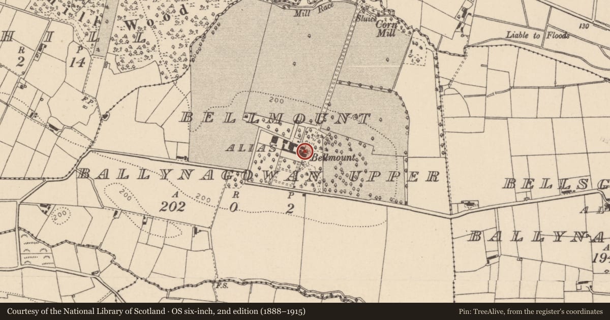 Ordnance Survey six-inch map, 2nd edition (1888–1915) covering the location of Bellmouny, 31 Ballynagowan Road, BT71 5AG, Mid Ulster, with a pin at the register's coordinates