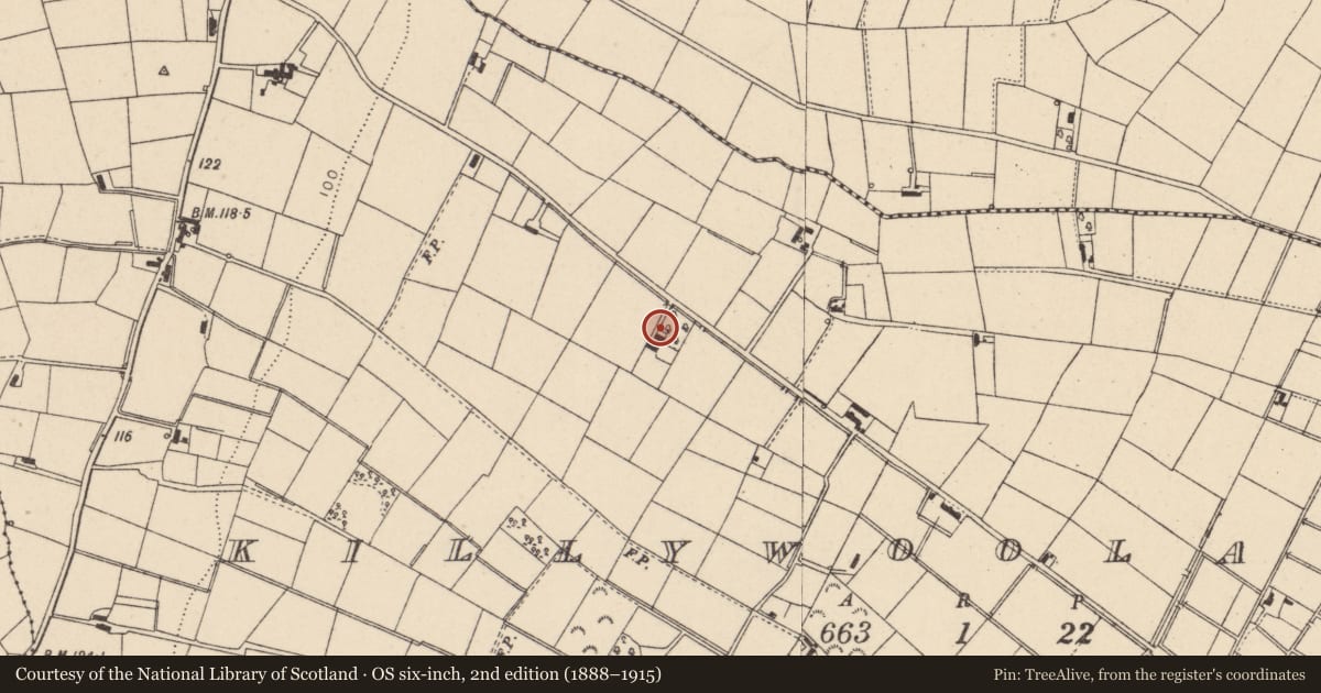 Ordnance Survey six-inch map, 2nd edition (1888–1915) covering the location of 23 Killywoolaghan Road, Dungannon, BT71 5AS, Mid Ulster, with a pin at the register's coordinates