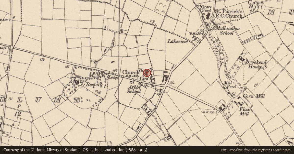 Ordnance Survey six-inch map, 2nd edition (1888–1915) covering the location of Ardboe Church of Ireland Church, Aghacolumb, Mid Ulster, with a pin at the register's coordinates