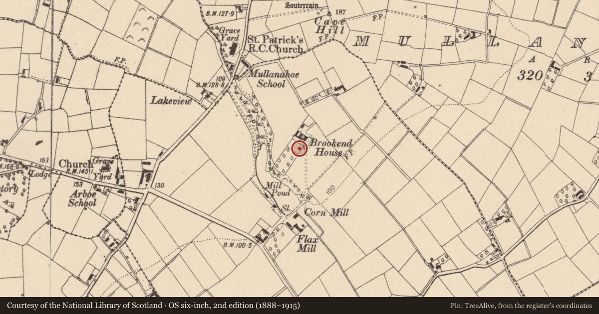 Ordnance Survey six-inch map, 2nd edition (1888–1915) covering the location of Brookend House, 16 Brookend Road, Dungannon, Co Tyrone, BT71 5BR, Mid Ulster, with a pin at the register's coordinates