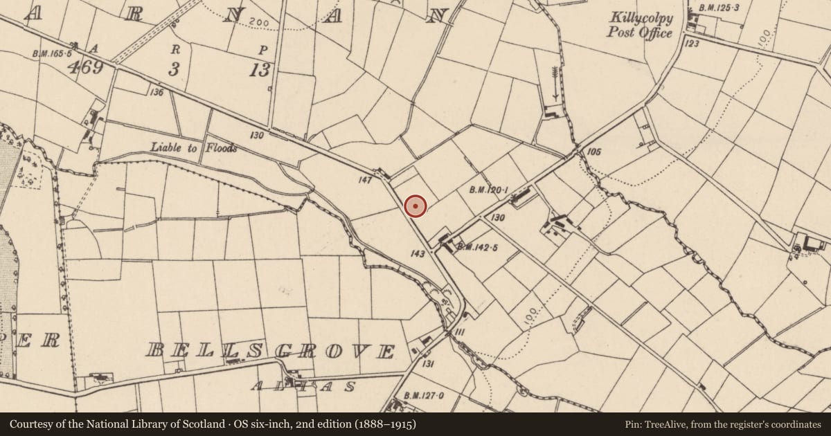 Ordnance Survey six-inch map, 2nd edition (1888–1915) covering the location of AOH Hall, 253 Mountjoy Road, Killycolp, Carnan, Mid Ulster, with a pin at the register's coordinates