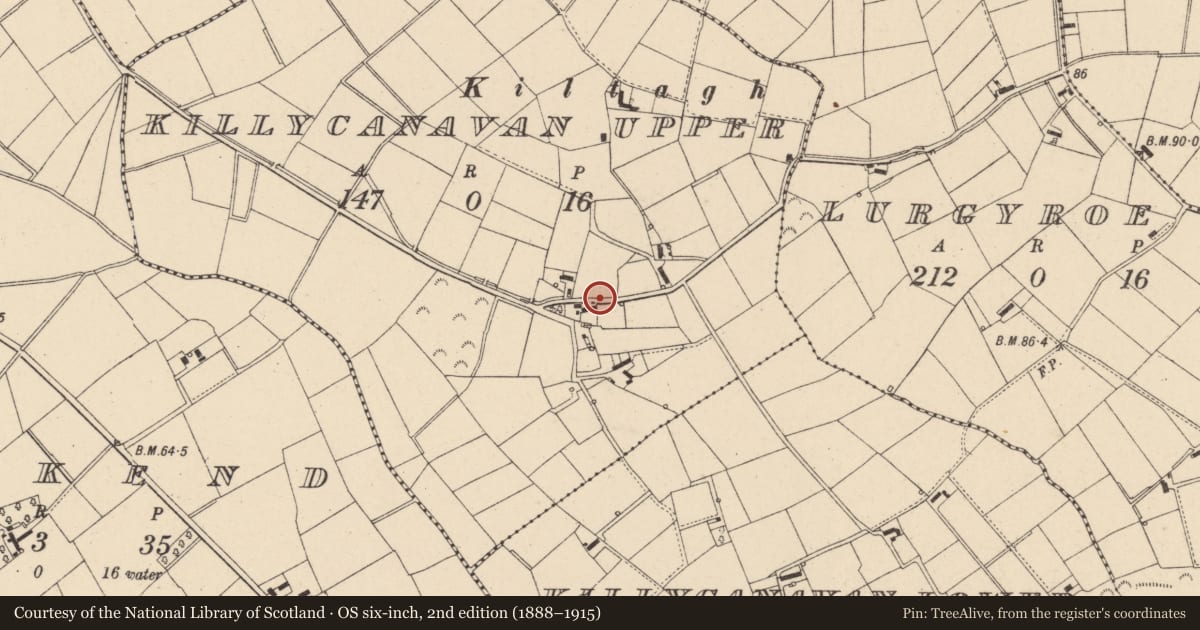 Ordnance Survey six-inch map, 2nd edition (1888–1915) covering the location of Telephone Kiosk, Killycanavan Upper, with a pin at the register's coordinates